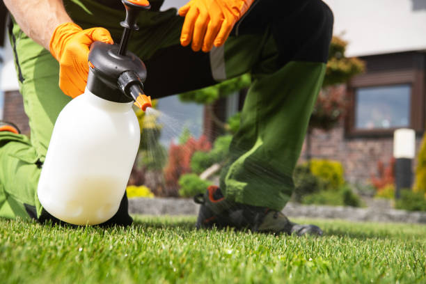 Best Local Pest Control Services  in Patrick Af, FL