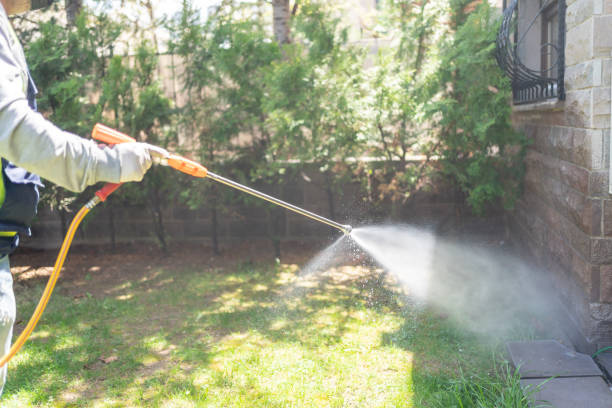 Wasp Removal Services in Patrick Af, FL